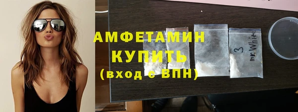стаф Богданович