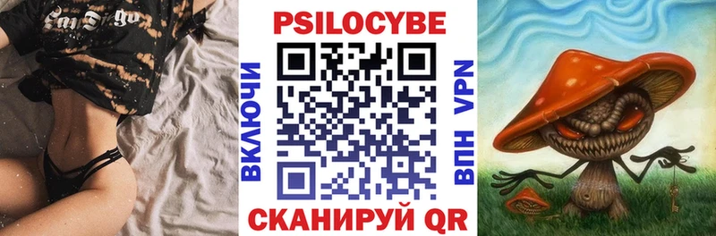 Купить  Красный Кут  Галлюциногенные грибы прущие грибы 